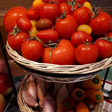 Zum Rassen Pensionat