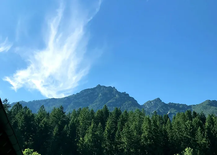Zum Rassen Garmisch-Partenkirchen