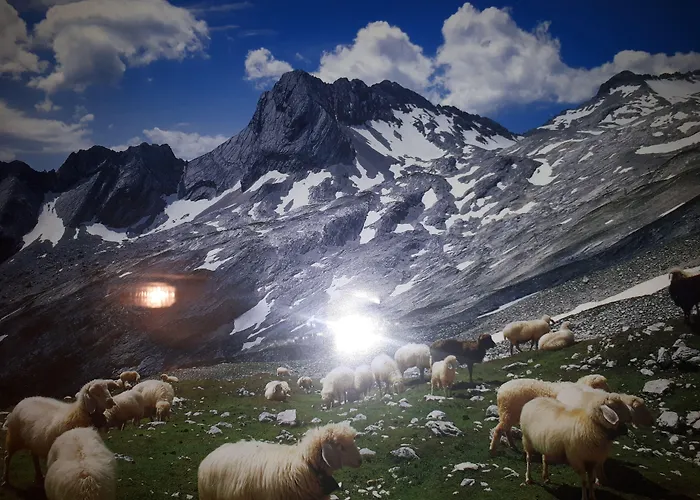 Guest house Zum Rassen 3*