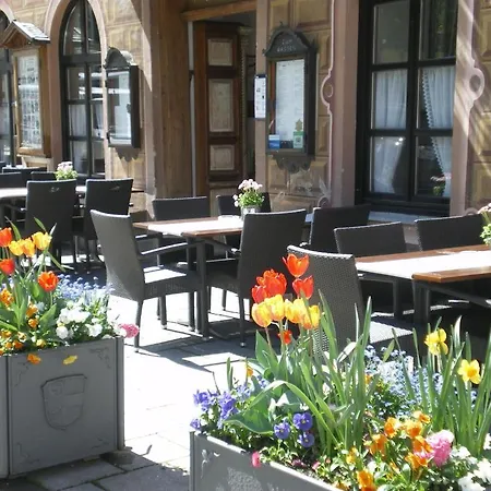 Guest house Zum Rassen 3*